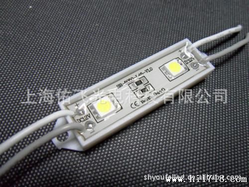 水5050贴片2灯LED模组模块