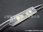 水5050贴片2灯LED模组模块