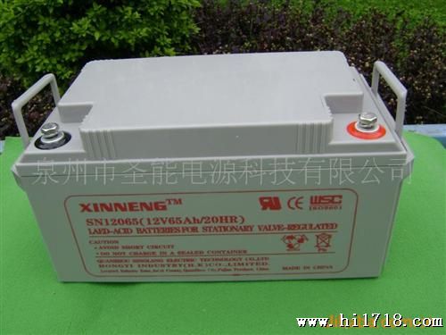 12V65AH铅酸蓄电池
