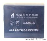 志强牌 电动车电池耐充电耐放电