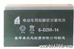 志强牌 电动车电池耐充电耐放电