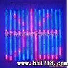 厦门LED数码管价格