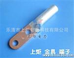 供应DTL-2-16双孔铜铝鼻,铜铝过渡端子,双孔铜鼻子