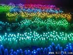 LED模组、LED贴片模组、LED全彩灯串