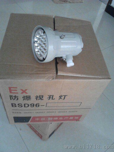 BSD96 LED10w爆视孔灯,led报警器