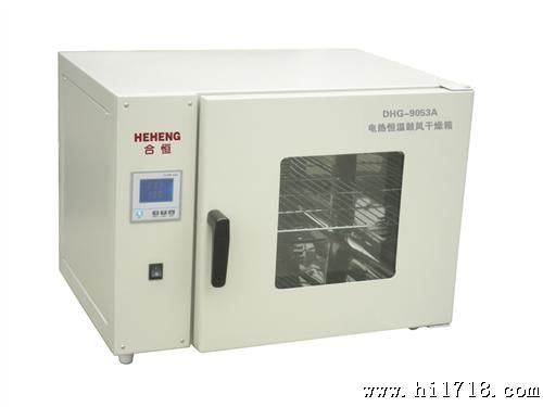 精密型300度台式电热恒温鼓风干燥箱 精密工业烘箱DHG-9125A