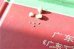 供应贴片电阻(风华代理)