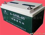 供应6-GFM-65直流屏铅酸蓄电池