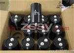 EPCOS电容B43310-A9338-M螺栓式400V3300uF 64.3×115