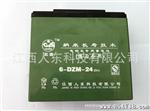 电动车电池  6-DZM-20 48v20ah  铅酸蓄电池  人东牌  电瓶  浙江