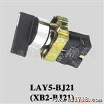 供应XB2-BK123旋钮带灯按钮开关ZB2BK123