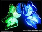 厂家 幻七彩水晶光纤蝴蝶小夜灯 球体蝴蝶 水晶颗粒小夜灯