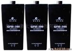 铅酸蓄电池GFM-300(图)