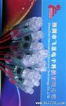 LED灌胶全彩灯串