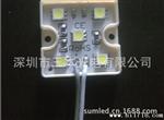 新品 LED五灯模组 3636水贴片模组 5050LED模块