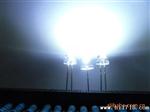 LED 亮低衰减白光系列