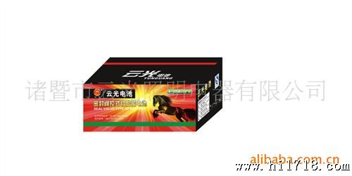 云光电动车铅酸蓄电池6-DZM-12