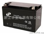 浙江丰圣UPS免维护密封铅酸蓄电池12V100AH