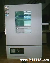 供应高温试验箱 鼓风干燥箱 电热恒温箱 工业烤箱