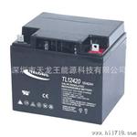 12V42AH蓄电池