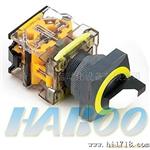 华博HABOO H22/25系列 22MM变25MM 选择三档一开一闭按钮开关