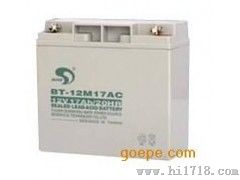 配电柜蓄电池BT-HSE-55-12赛特代理商报价