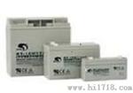 配电柜蓄电池BT-HSE-65-12/10HR赛特代理商报价