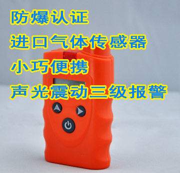 便携式煤气检测仪-RBBJ-T