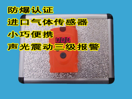 便携式煤气检测仪-RBBJ-T