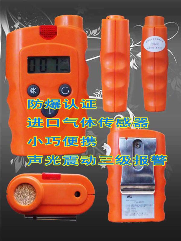 便携式煤气检测仪-RBBJ-T