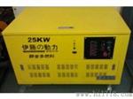 国内噪音小的/30KW汽油发电机YT30REP
