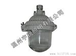 NFE9121 LED应急顶灯价格，生产NFE9121 LED应急顶灯