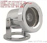 红绿蓝LED水底灯 DMX512外全彩18W水下灯 20W水下照明LED灯具