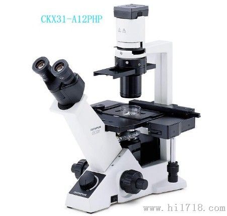 倒置生物显微镜奥林巴斯CKX31