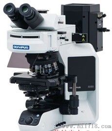 BX53奥林巴斯生物显微镜/荧光显微镜