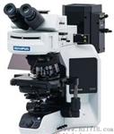 BX53奥林巴斯生物显微镜/荧光显微镜