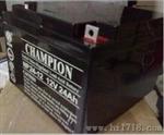 宁波供应CHAMPION NP24-12 12V24AH(0)