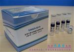 PCR动植物物种鉴定试剂盒