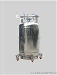 YDZ-100自增压液氮罐