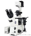 奥林巴斯OYLMPUS倒置显微镜IX71荧光倒置显微镜