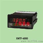 XMTF-6000智能温控仪