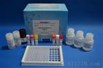 氯霉素酶联免疫反应试剂盒