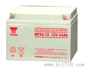 汤浅NP24-12蓄电池代理商