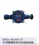 BHD2-100/660-2T爆接线盒厂家