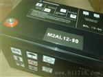 梅兰日兰蓄电池M2AL12-90经销商代理