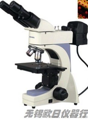 无锡数码视频显微镜