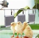 养鸡场保温锅炉精心设计