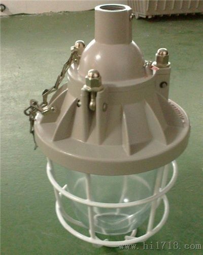 BCD隔爆型防爆照明灯|BCD-250W防爆灯价格