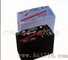 广东东洋蓄电池-日本东洋蓄电池-铅酸免维护系列