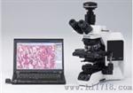 中药材粉末观察鉴定用进口显微镜CX41-LV320